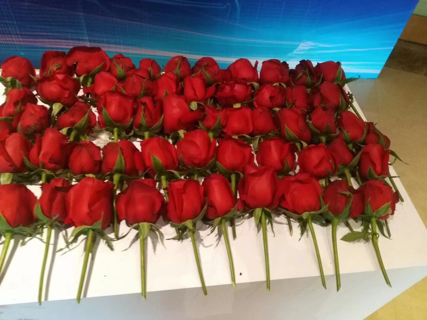 西安會議活動策劃